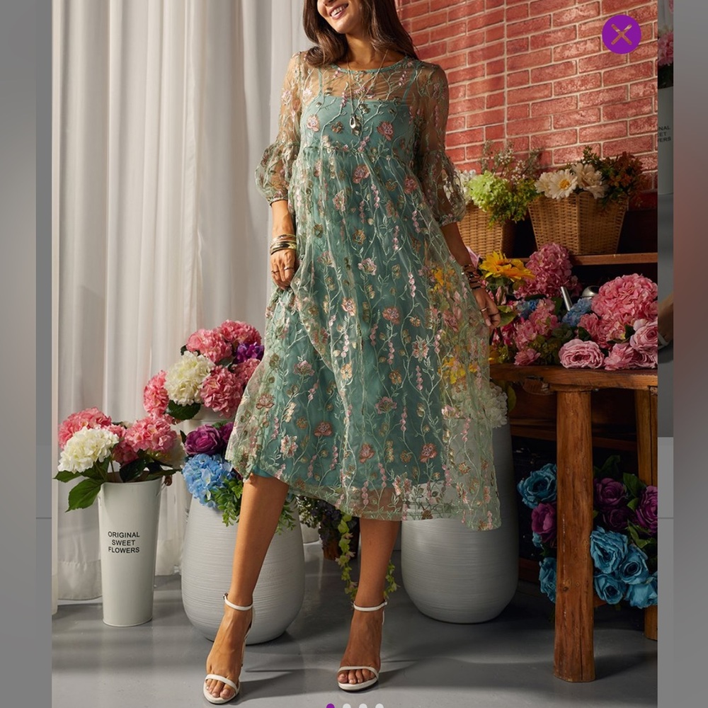 NEW floral embroidered sheer dress with slip